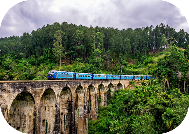 Hill Country Tours