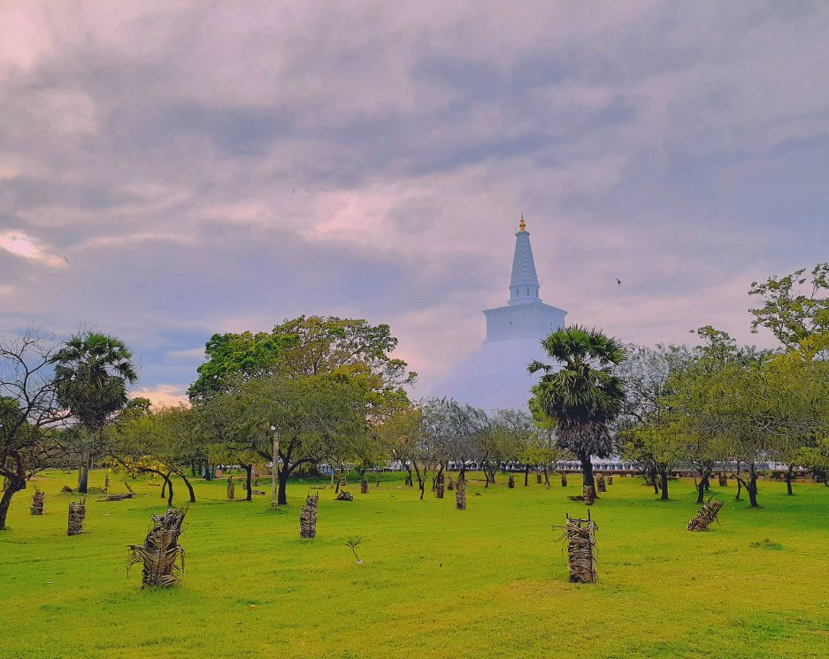 Timeless Vistas Of Sri Lanka Image 3