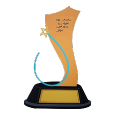 Award Image