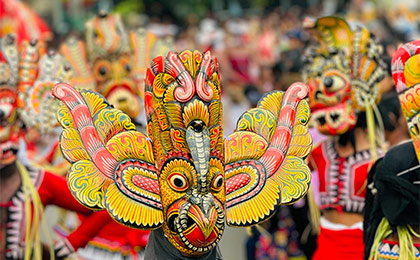Cultural Tours