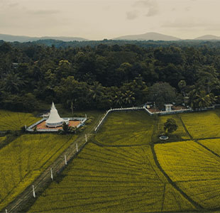 Village Life Experience