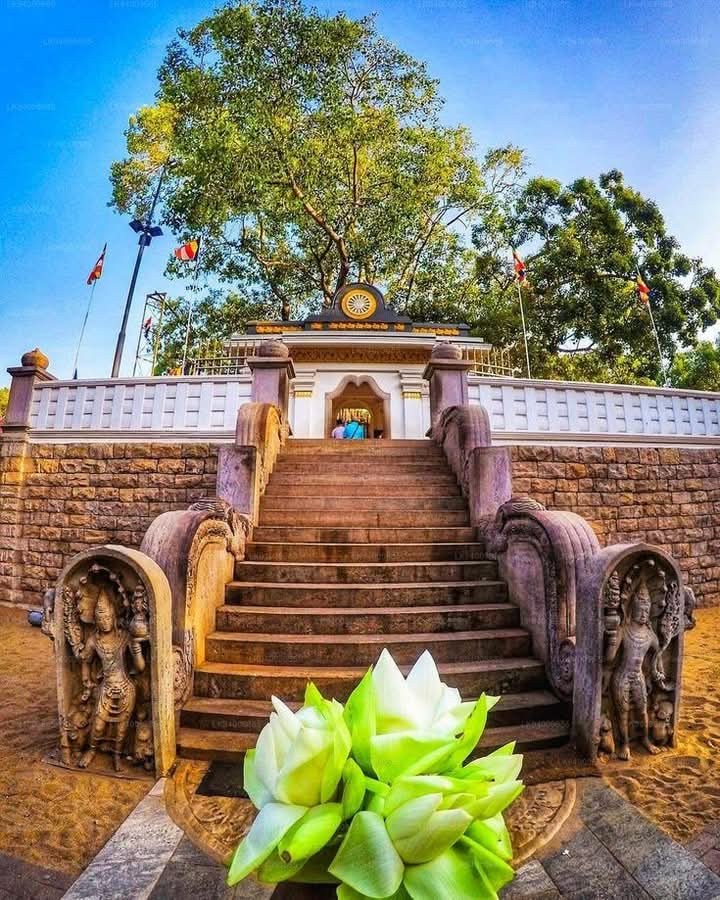 Jaya Sri Maha Bodhi
