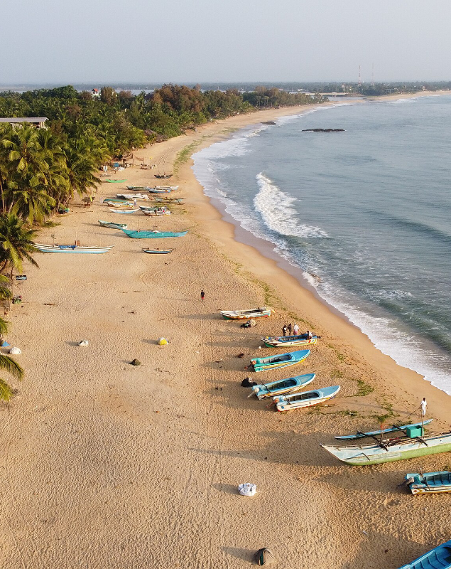 Arugam Bay